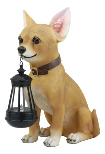 Picante Mexican Chihuahua Dog Decor Path Lighter Statue With Solar LED Lantern