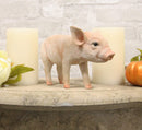 Adorable Realistic Animal Farm Babe Piglet Pig Statue 8"L Rustic Country Pigs