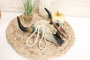Western Turquoise And Red Teardrop Gems Mosaic Steer Cow Skull Decorative Box