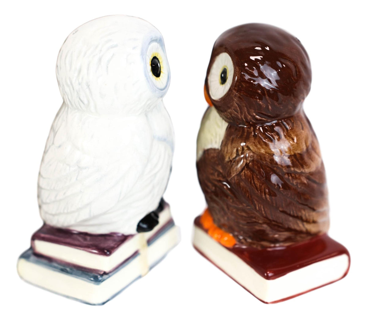 Ebros Snow & Brown Owl Bibliography Of Wisdom Ceramic Salt Pepper Shaker Set