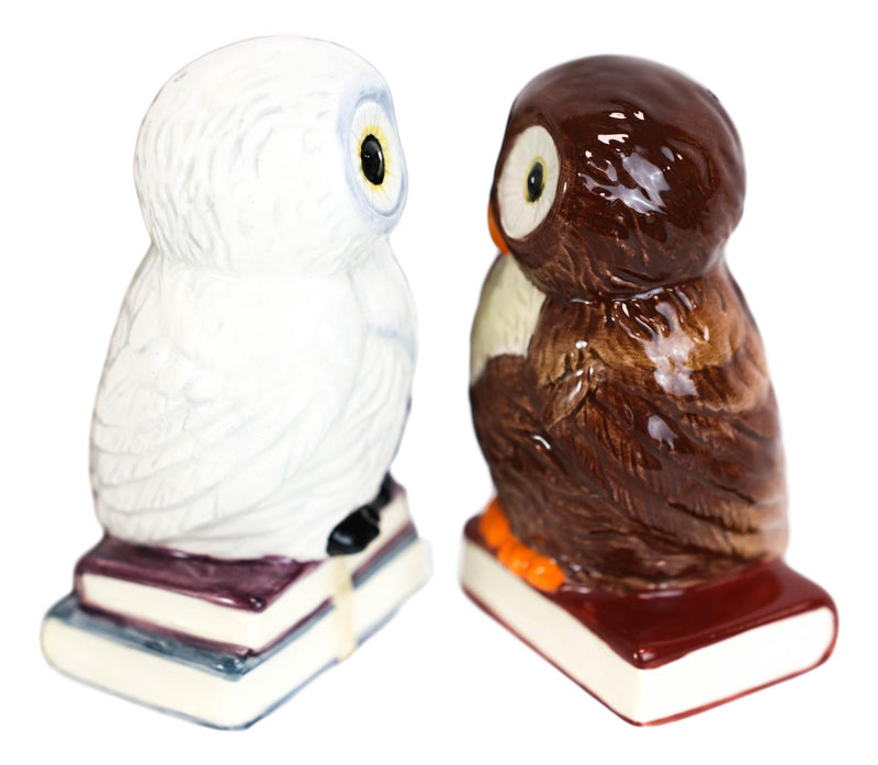 Ebros Snow & Brown Owl Bibliography Of Wisdom Ceramic Salt Pepper Shaker Set