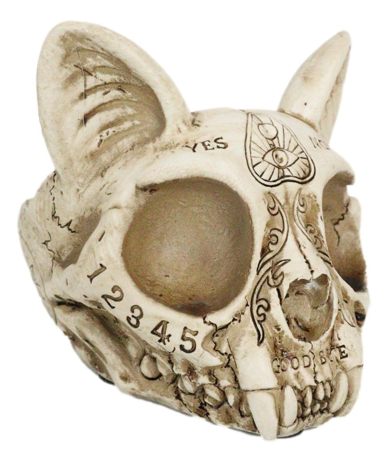 Paranormal Ouija Spirit Medium Cat Skull Ashtray Figurine Supernatural Occultist