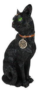 Wicca Witchcraft Green Eyed Moon Black Cat With Pentagram Necklace Figurine