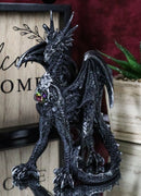 Gothic Fantasy Medieval Ember Crystal Heart Black Dragon Crouching Figurine
