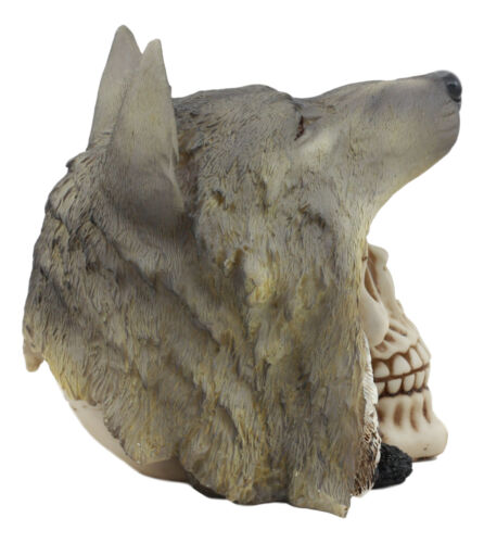 Ebros Indian Koitsenko Warrior Chief Lone Wolf Skull Statue Gothic Figurine Halloween - Ebros Gift