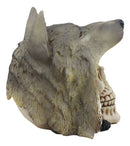 Ebros Indian Koitsenko Warrior Chief Lone Wolf Skull Statue Gothic Figurine Halloween