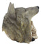 Ebros Indian Koitsenko Warrior Chief Lone Wolf Skull Statue Gothic Figurine Halloween