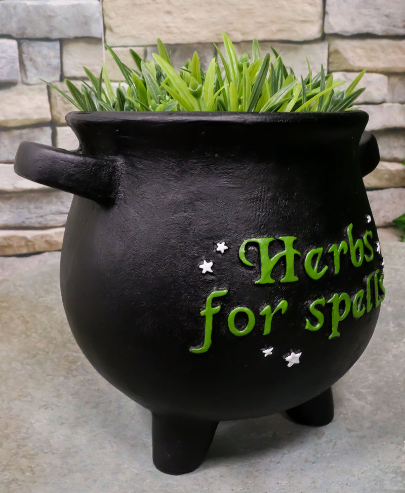 cauldron plant pot Ebros Gift Green Thumb Witch Gardening Black Herbs For Spells Cauldron Planter Pot 7.5"D