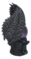 Ebros Midnight Climbing Winged Dragon Purple Blood Sandstorm Ball Statue 10"H