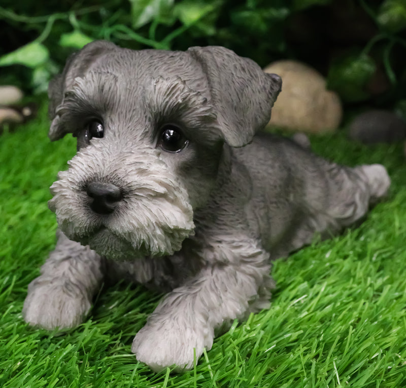 Realistic Adorable Grey Mini Schnauzer Dog Lying On Belly Figurine Pet Pal