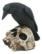 Foreboding Dark Crow Raven On Skull Statue 5"Tall Ossuary Scavenger Raven Bird
