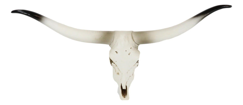 20" L Rustic Western Texas Longhorn Steer Cow Skull Resin Wall Decor Plaque