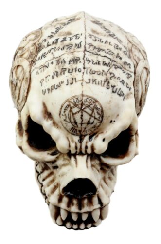 Ebros Pentagram Werewolf Skull Figurine 7.25"L Pentacle Dragon Tattoo