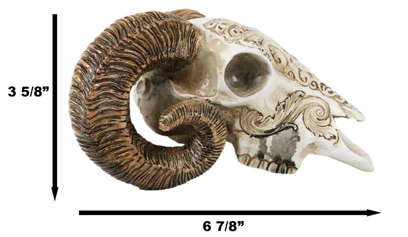 Gothic Macabre Ammon Cultic Tribal Tooled Tattoo Scrimshaw Ram Skull Figurine