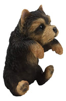 Ebros Garden Pot Hanging Yorkshire Terrier Statue 8" Tall with Glass Eyes Yorkie