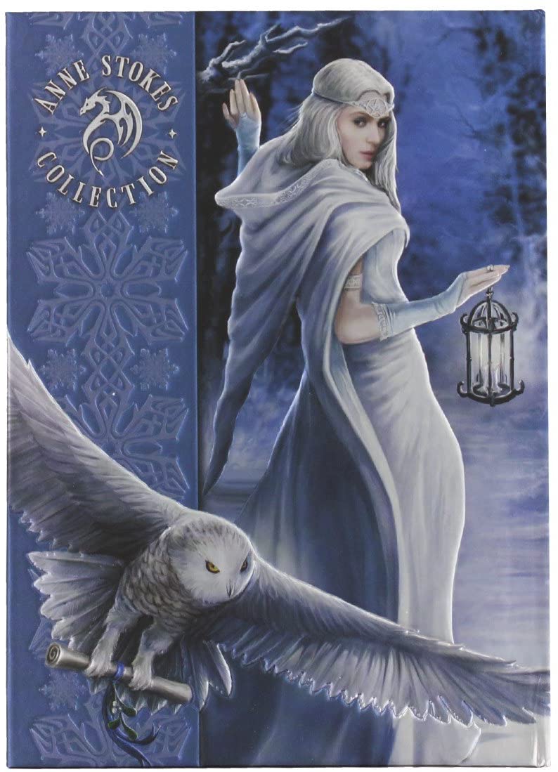 Anne Stoke Curiosity Corner Midnight Messenger with Owl Embossed Journal