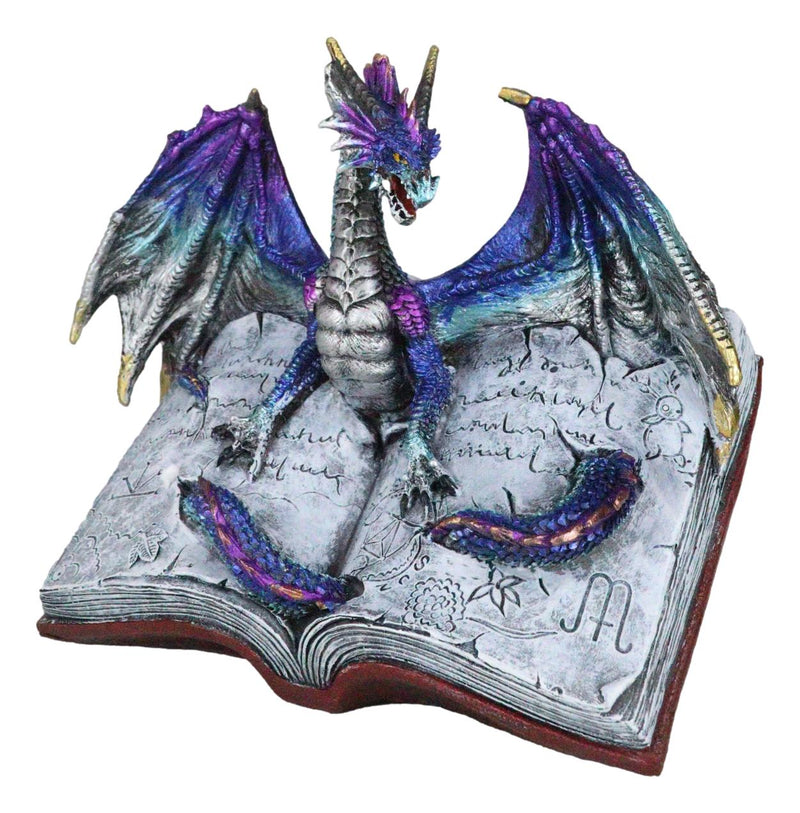 Guardian Of Bibliography Purple Blue Dragon Emerging Out Of Spell Book Figurine