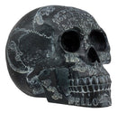 Ebros Black Astrology Paranormal Ouija Spirit Skull Statue 8.5"L Supernatural