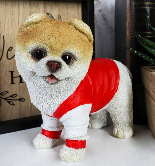 Ebros Gym Bro Boo The World's Cutest Pomeranian Dog Statue Pet Pal Dogs Collectible Breed Pomeranians Memorial Collectible Resin Decor Figurine with Glass Eyes Official Licensed Sculpture - Ebros Gift