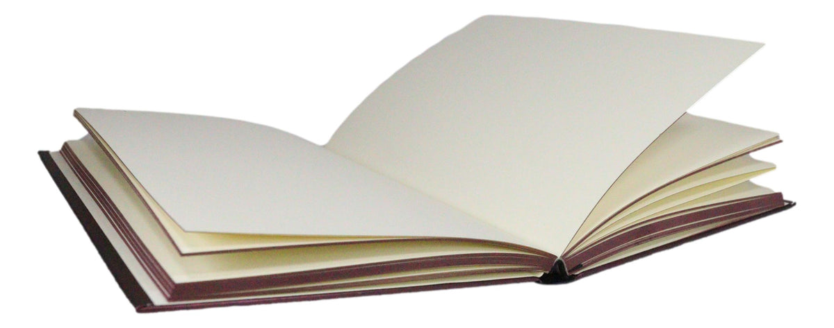 Dragon's Lair Fantasy Flame Blade Dragon Embossed Journal Diary Blank Notebook - Ebros Gift