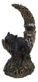 Black Cat Sitting On Crescent Greenman Tree Moon Figurine With LED Night Light