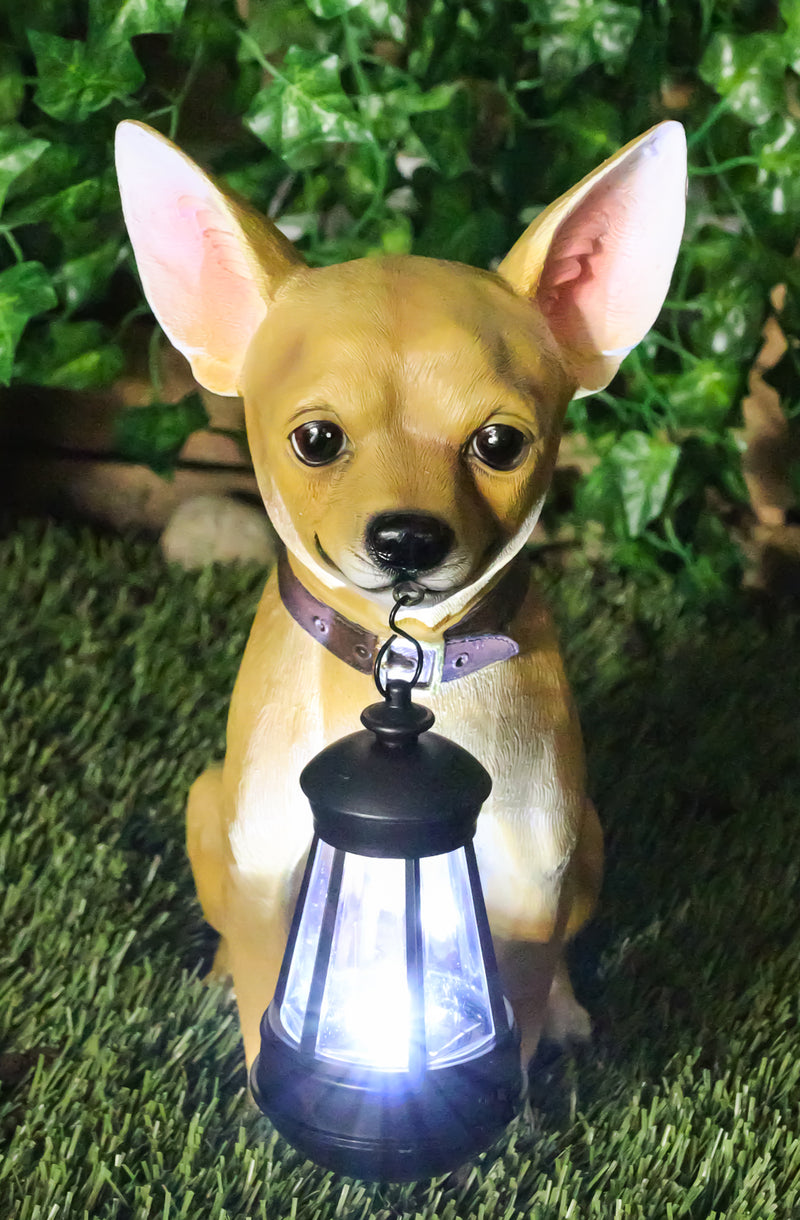 Picante Mexican Chihuahua Dog Decor Path Lighter Statue With Solar LED Lantern