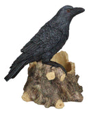 Macabre Potion Raven Crow Nevermore Perching On Tree Stump Wine Bottle Holder