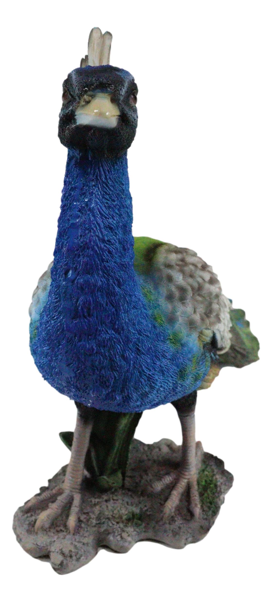 Elegant Iridescent Blue Peacock with Beautiful Train Feathers Decorative Statue