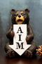 Ebros Rustic Forest Black Bear with Arrow Sign AIM Decorative Toilet Figurine