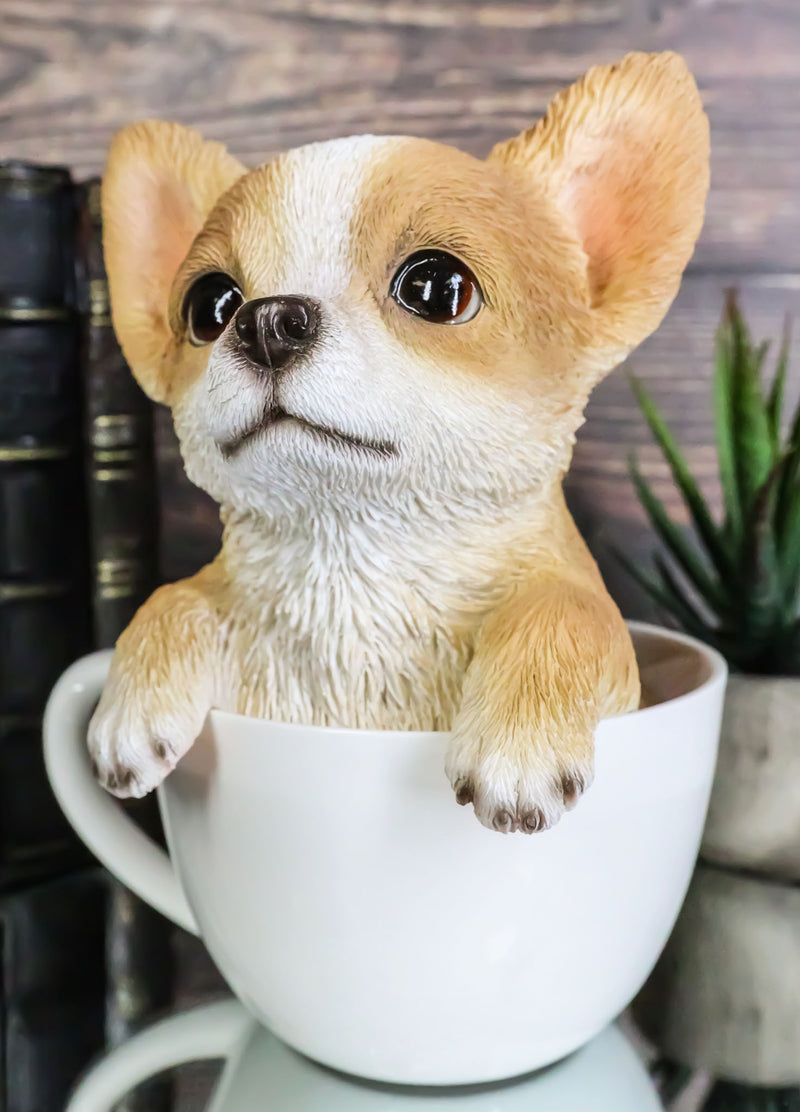 Realistic Tan Chihuahua Dog in Teacup Statue 5.75"H Pet Pal Chihuahuas Decor