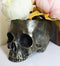 Ebros Day Of The Dead Skull Bowl Resin 7"Long Bowl Bronze Finish Decorative