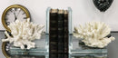 Nautical Coastal Marine White Sea Finger Corals Acrylic Glass Bookends Set