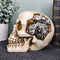 Steampunk Protruding Gearwork Cyborg Robotic Human Skull Figurine Skeleton