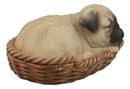 Ebros Realistic Pug Dog Sleeping In Wicker Basket Statue Pet Pal Pugsy Figurine