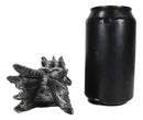 Dark Silver Dragon Fossil Skull Skeleton Incense Burner Box With Faux Crystals