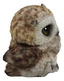 Ebros Whimsical Tropical Brown Great Horned Baby Owl Wobbly Tiptoeing Figurine