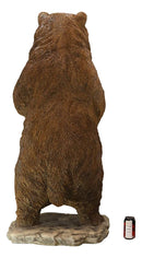 Ebros Giant Size Forest Wildlife Realistic Standing Brown Grizzly Bear Statue More Than 4' Feet Tall Rustic Cabin Lodge Hunter Decor Bears Figurine Gallery Quality Home and Patio Decorative Sculpture