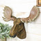 North American Granddaddy Bull Moose with Antlers Trophy Head Wall Decor 15"L