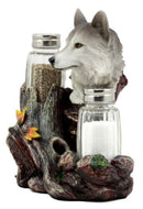 Ebros Full Moon Lone Alpha Gray Wolf Glass Salt & Pepper Shakers Holder Decor