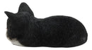 Ebros Lifelike Sleeping Tuxedo Black and White Cat Statue 7" Long Pet Pal Kitten Decor Figurine