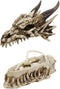 Ebros 9" L Grinning Fossil Bone Skeleton Dragon Skull 'Stryker' Decorative Box