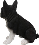 Ebros Realistic Black French Bulldog Puppy Dog with Glass Eyes Statue 7" Tall