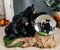 Ebros Rustic American Papa & Mama Black Bears W/ Cubs Small Glitter Water Globe