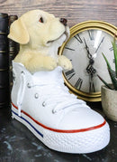 Ebros 'Paw-Star' Pups Golden Labrador Dog in Sneaker with Glass Eyes Figurine
