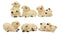 Whimsical Farm Baby Porky Pig Piggies Set of 6 Figurines 3"H Small Statues Decor