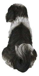 Ebros Large Adorable Lifelike Shih Tzu Dog Statue 10.25" Tall Realistic Glass Eyes