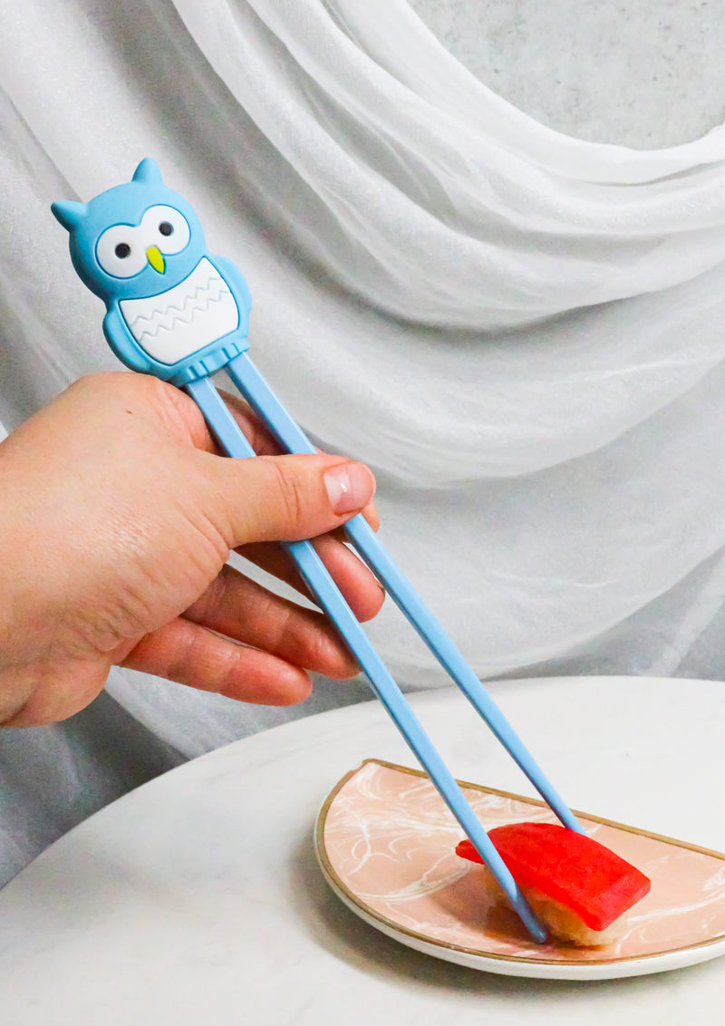 Sky Blue Night Owl Reusable Training Chopsticks Set With Silicone Helper Hinge