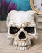 Gothic Angel Of Hades Ram Horned Skull With Nude Winged Redemption Figurine