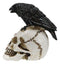 Ossuary Macabre Harbinger Of Doom Black Raven Crow Bird On Skull Mini Figurine