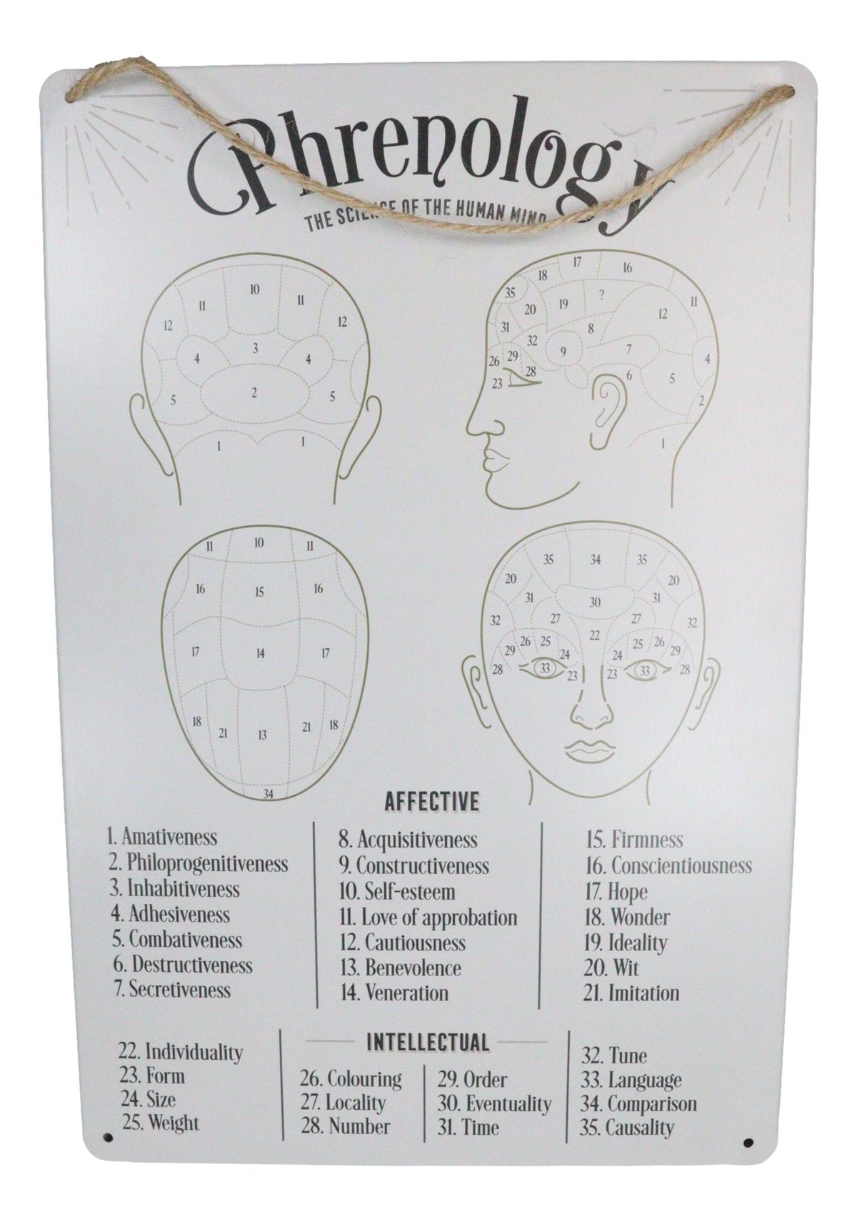 Gothic Wicca Phrenology Alternative Science Of Human Mind Metal Wall Sign Decor